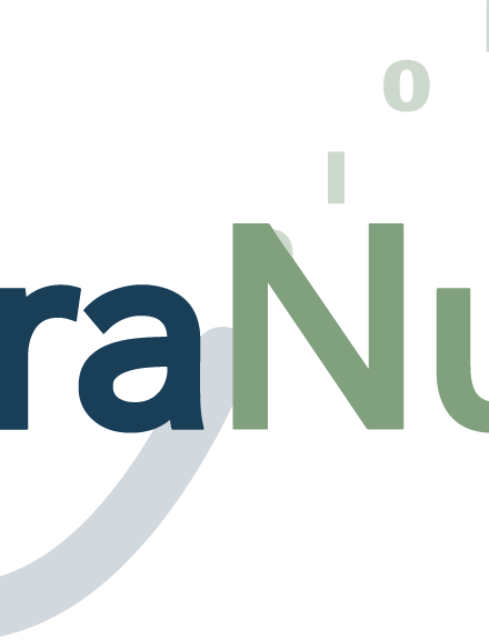 logo InfraNum